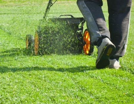 5 Signs Your Havertown Lawn Needs Professional Mowing, Not a DIY Cut