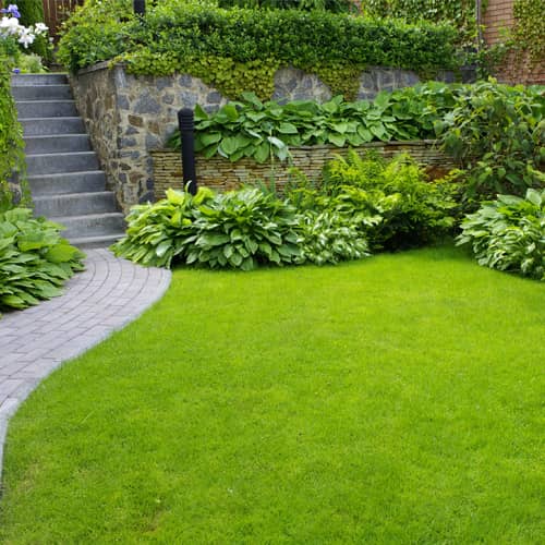 How to Keep Your Lawn Green During Hot Pennsylvania Summers